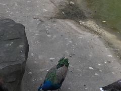 -南昌动物园