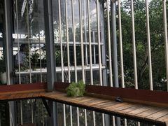 -Rainforest