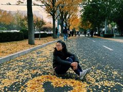 -三里屯东五街银杏大道