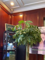 -南京医科大学友谊整形外科医院