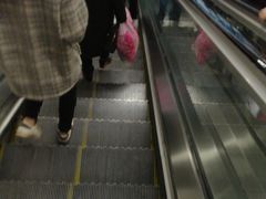 -大龙山(地铁站)