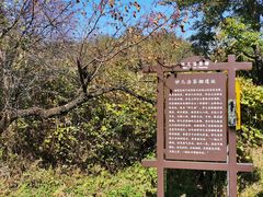 -阳台山自然风景区