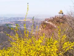 -荆紫仙山景区票务中心