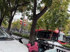 -一记洛阳菜·糖醋小排·水席(十字街店)