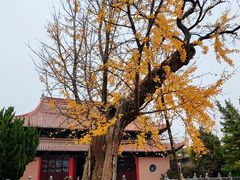 -苏州文庙(姑苏区)