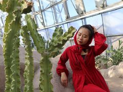 -北京植物园-展览温室