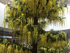 -南方医科大学深圳医院