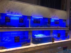 水产区-箸福·夜上海(雨花客厅店)