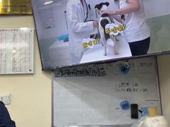 -全心全意连锁动物医院·微创中心·内科急重症·心脏专科(丰管路店)