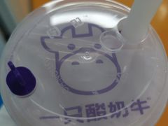 -一只酸奶牛(春熙路店)