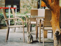 -马勒别墅·中餐厅