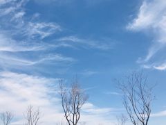 -月亮湾湿地公园
