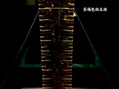 -重庆中国三峡博物馆(重庆博物馆)