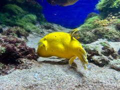 -新加坡海洋生态馆