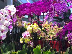 -三旗百汇商品城