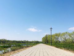 -大兴滨河森林公园