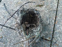 -义乌之心城市生活广场