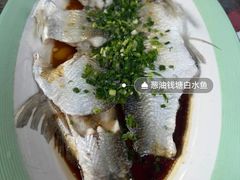 -阿巧茶庄