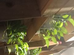 -比格比萨自助(花园路店)