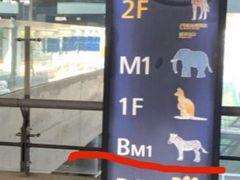 -虹桥综合交通枢纽-P6停车库