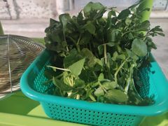 -潮信鱼头王(西环店)