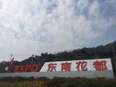 -东南花都花博园