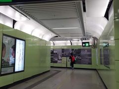 -香港大学