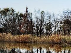 -南通濠河风景名胜区