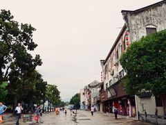 -溪口-滕头旅游景区