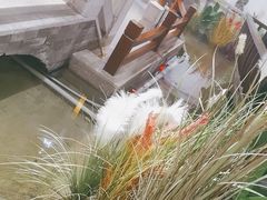 -印巷里主题餐厅(马鞍山店)