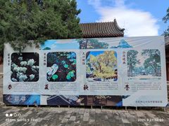 -闻道食府烙饼卷带鱼(原车耳营店原大觉寺店)