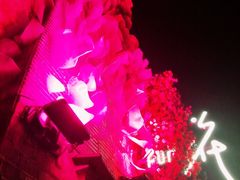 -花·fleur古董西餐厅(西城夜未央店)