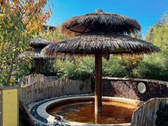 -大连金石滩绿发温泉假日酒店