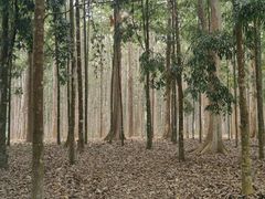 -中国科学院西双版纳热带植物园