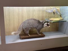 -下渚湖国家湿地公园科普馆