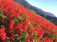 景点-百里山水画廊
