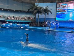 -海合安成都极地海洋公园