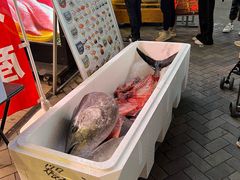 -大起水产回转寿司(道顿堀店)