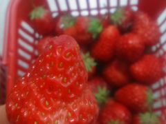 -旺中旺生活超市(居住主题店)