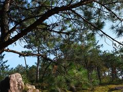 -玉苍山国家森林公园