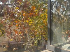 -毛辣果·酸(OHA复兴西路店)