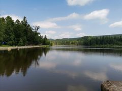 -五营红松林海景区