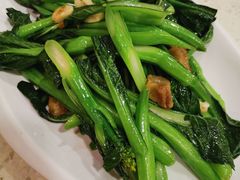 -珠江夜游省总码头