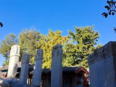 -北京石刻艺术博物馆(五塔寺)