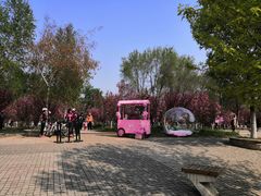 -长白岛森林公园