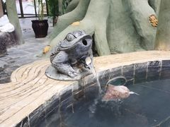 -兴芮温泉度假区