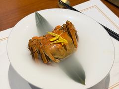 -觀芷隐轩