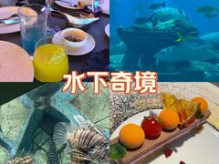 -OSSIANO奥西亚诺海底餐厅