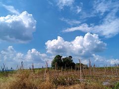 -光明小镇欢乐田园