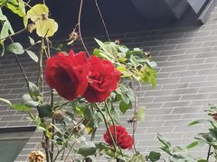 -滇釜火锅·能喝汤的火锅(车公庄店)